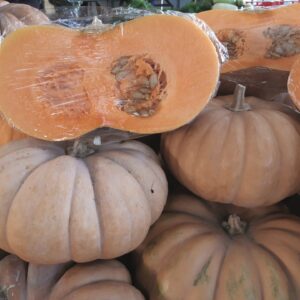 Musque de Provence