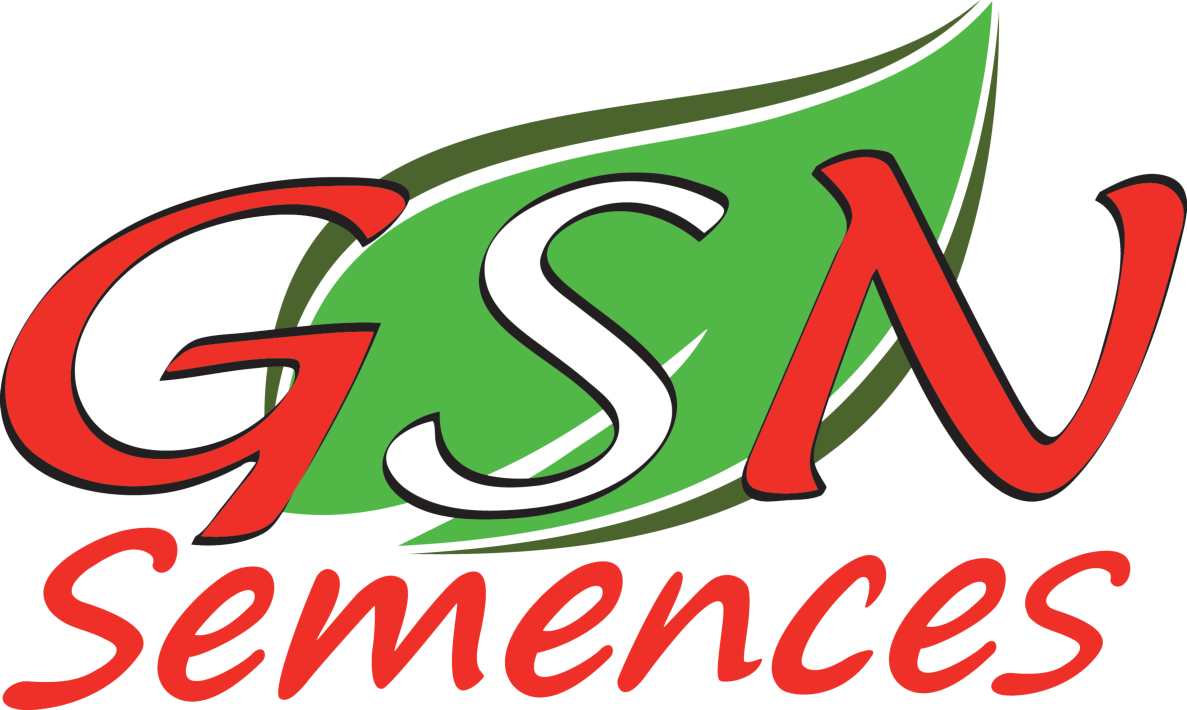 GSN-logo.png