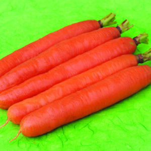 Karotela